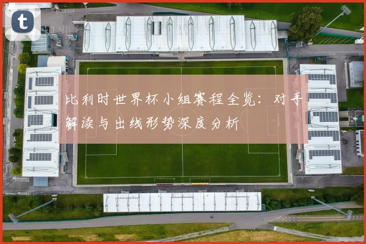 比利时世界杯小组赛程全览：对手解读与出线形势深度分析